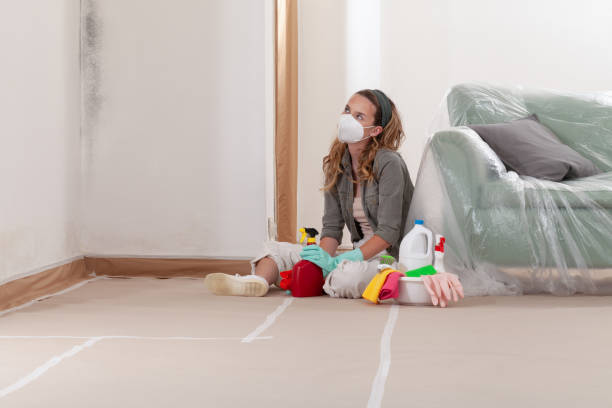 Reliable Commercial Mold Remediation contractor in Ingleside, MD by WQB Mold Removal